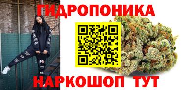 крисы Пушкино