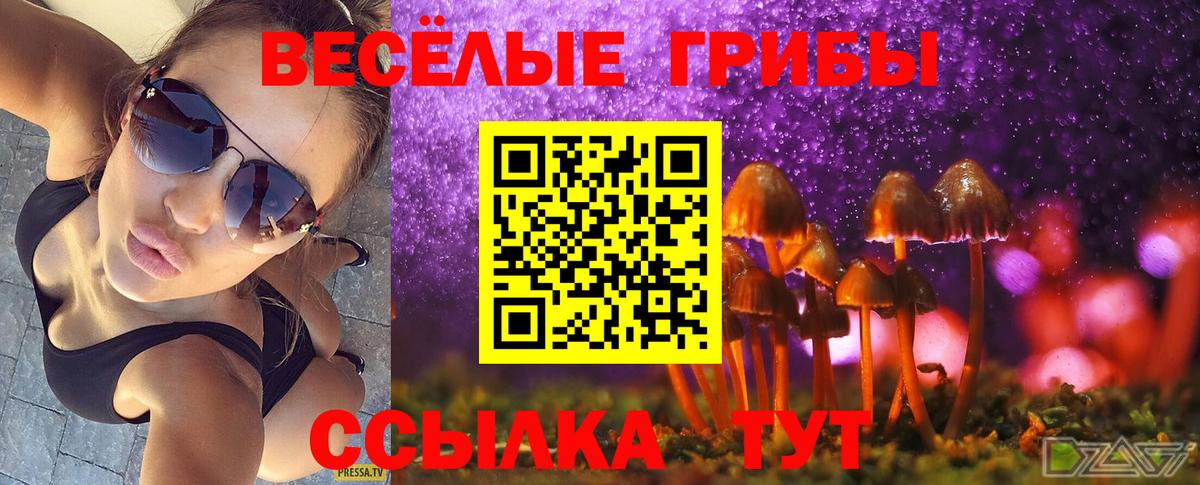 Галлюциногенные грибы ЛСД Родники