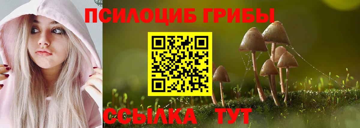 Родники  Псилоцибиновые грибы ЛСД  Вход с VPN  Псилоцибиновые грибы GOLDEN TEACHER 